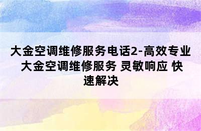 大金空调维修服务电话2-高效专业 大金空调维修服务 灵敏响应 快速解决